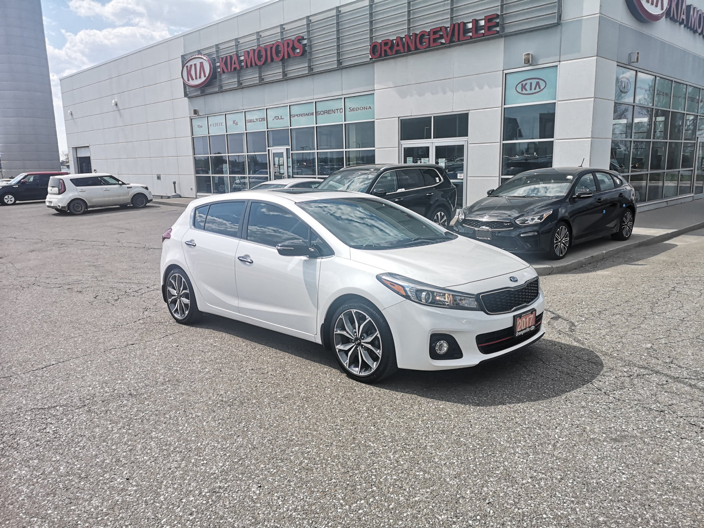 Kia Canada Forte5 LX EX SX snow White pearl SWP Orangeville Kia