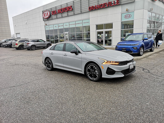 FREE SHIP Kia Touch-Up Paint Pen - Wolf Grey - 2021-2024 K5 000KCPENC7S