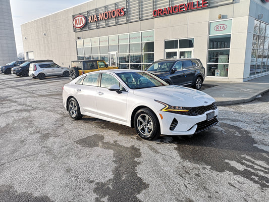 FREE SHIP Kia Touch-Up Paint Pen - Glacier White Pearl - 2021-2024 K5 000KCPENGWP