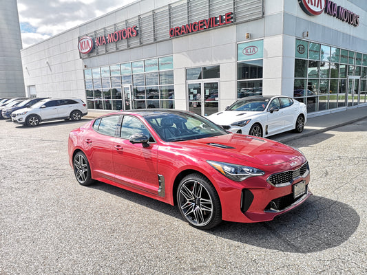 FREE SHIP Kia Touch-Up Paint Pen - California Red - 2018-2023 Stinger 000KCPENH4R