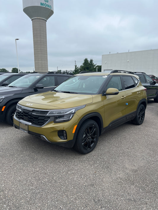 FREE SHIP Kia Touch-Up Paint Pen - Valais Green - 2021-2026 Seltos 000KCPENB4E