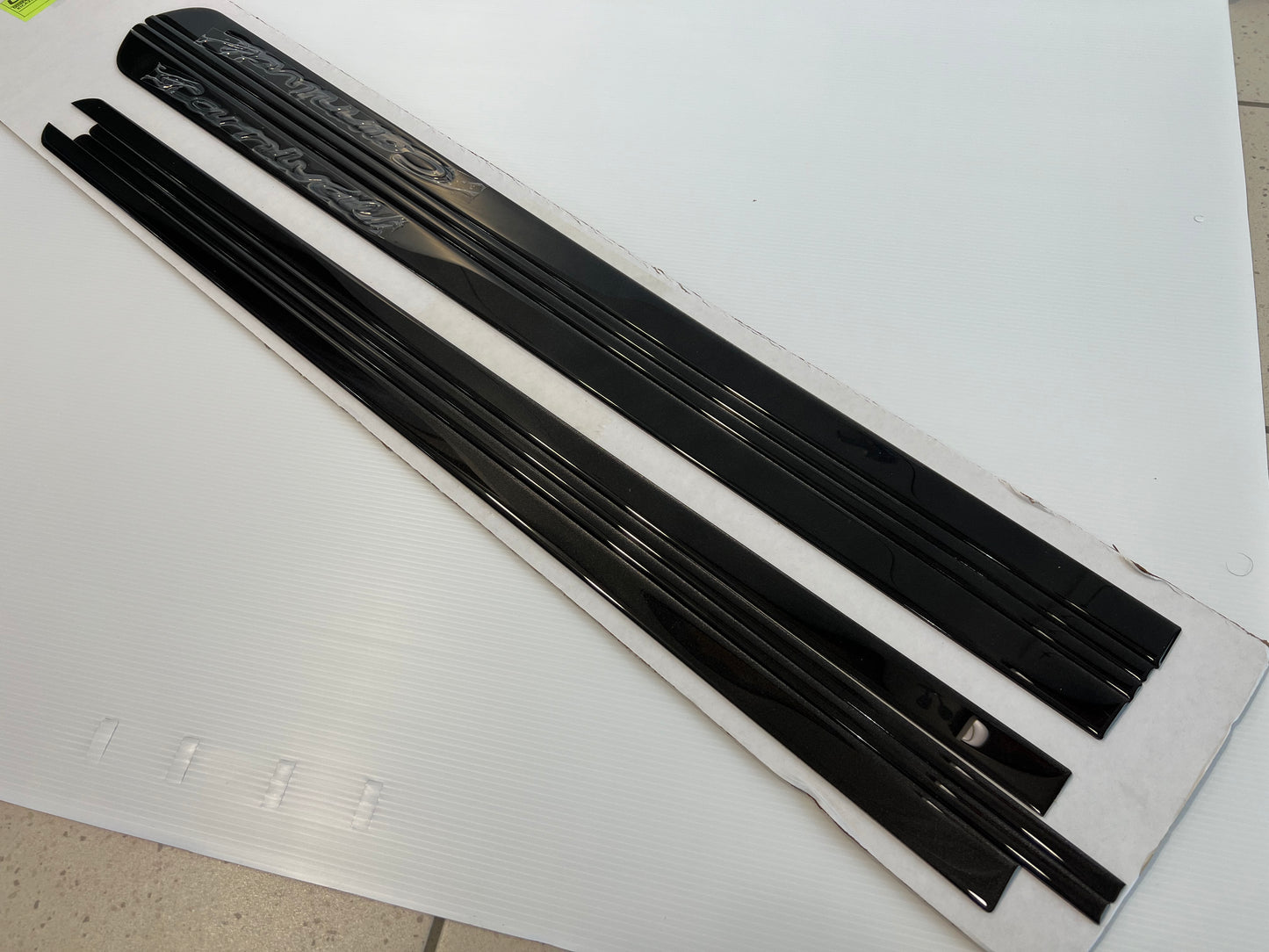 Bodyside Mouldings (Paint-Match) - 2022-2026 Carnival