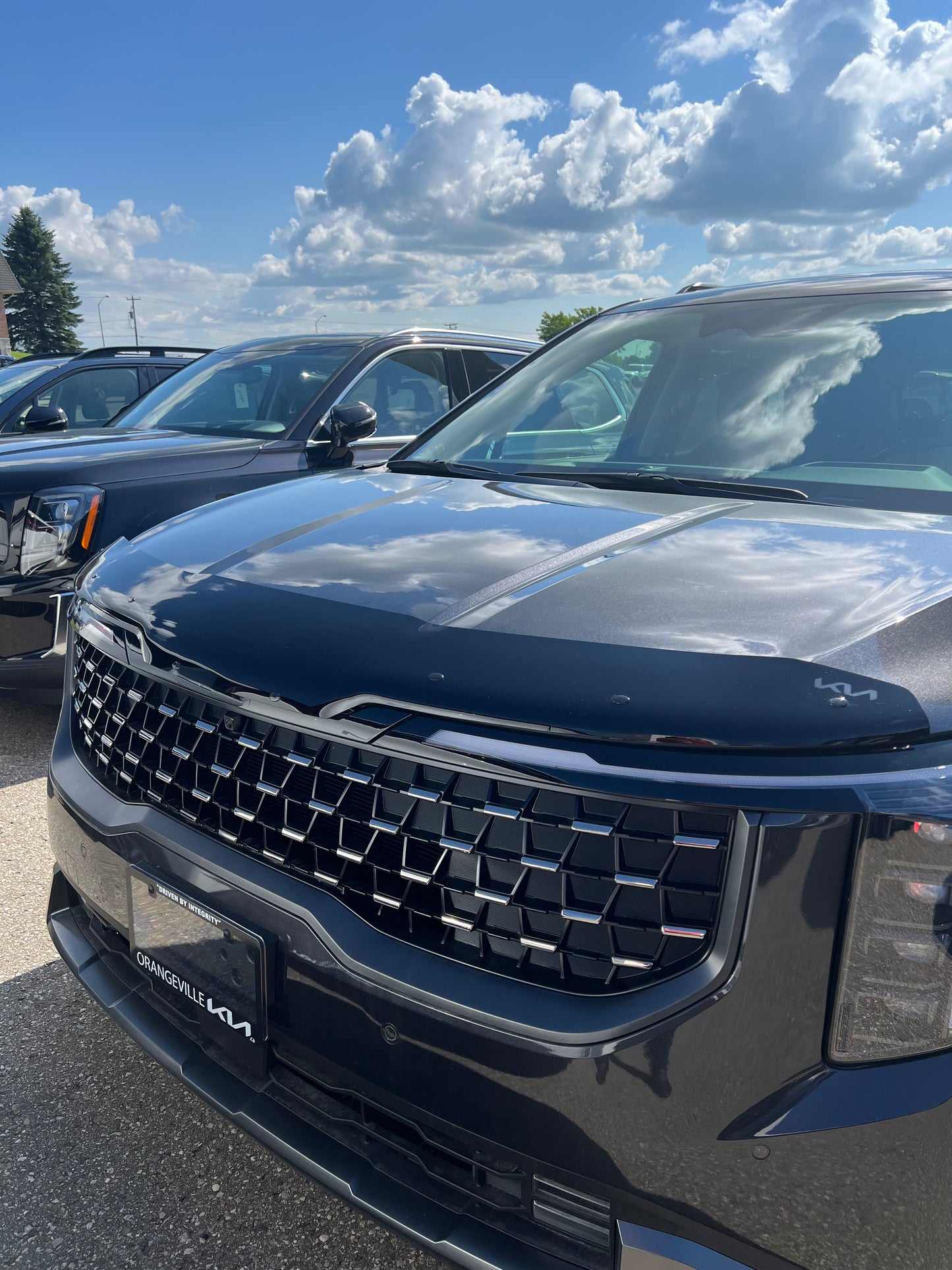 Kia Hood Deflector - 2025-2026 Carnival Hybrid (HEV) R0F24AP001