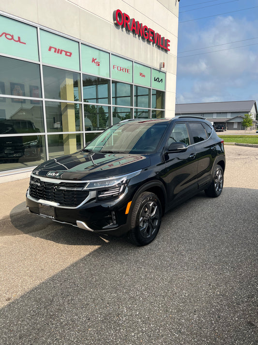 FREE SHIP Kia Touch-Up Paint Pen - Fusion Black - 2021-2026 Seltos 000KCPENFSB