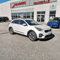 FREE SHIP Kia Touch-Up Paint Pen – Snow White Pearl – 2019-2022 Niro PHEV 000KCPENSWP