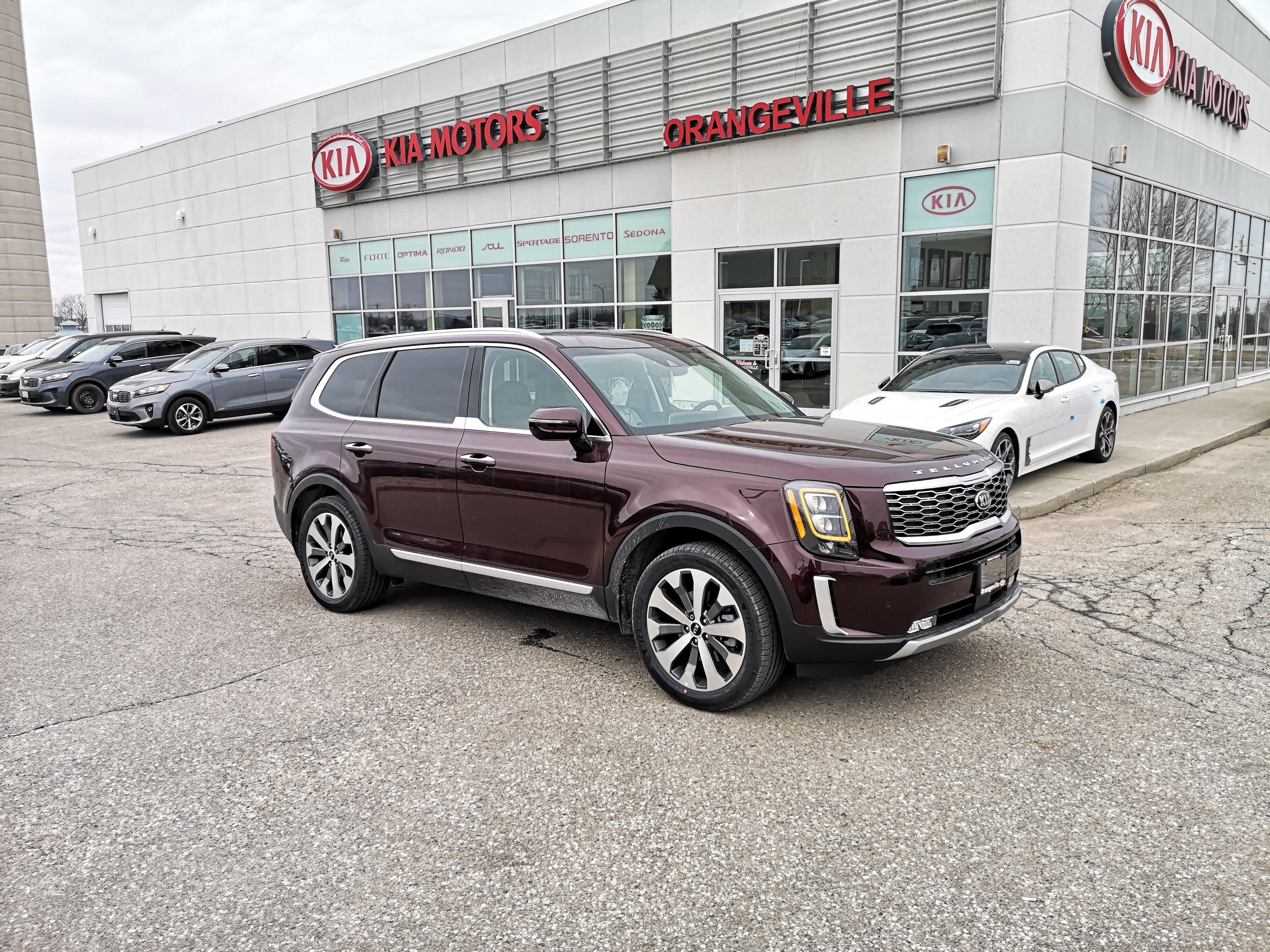 FREE SHIP Kia Kia Touch-Up Paint Pen - Sangria - 2020-2025 Telluride - 000KCPENM2R